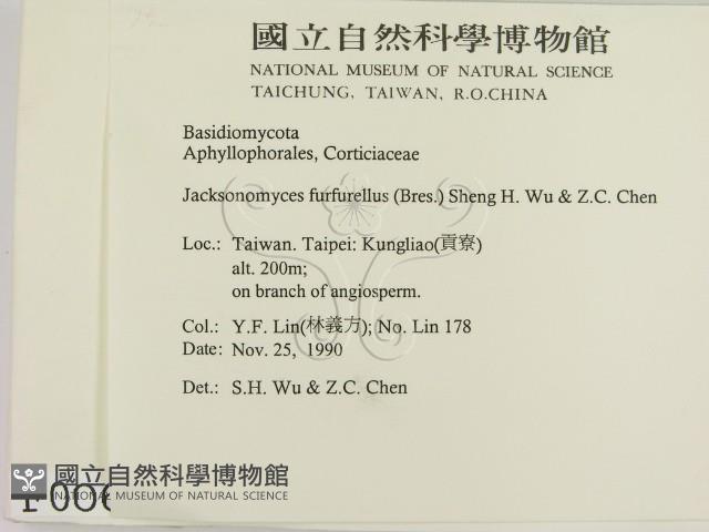 登錄號:F0000063藏品圖，第2張