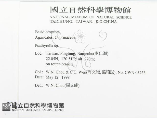 登錄號:F0011063藏品圖，第2張