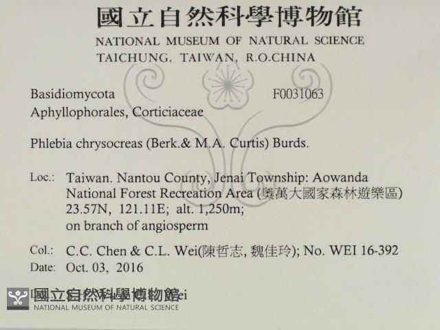 登錄號:F0031063藏品圖，第2張