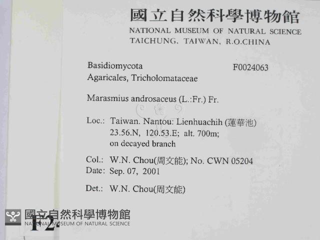 登錄號:F0024063藏品圖，第2張