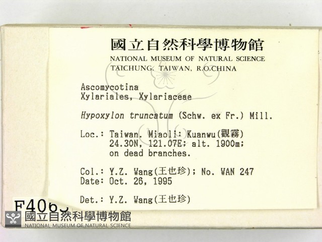登錄號:F0004063藏品圖，第2張