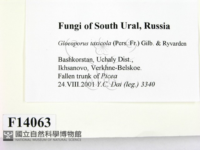 登錄號:F0014063藏品圖，第2張