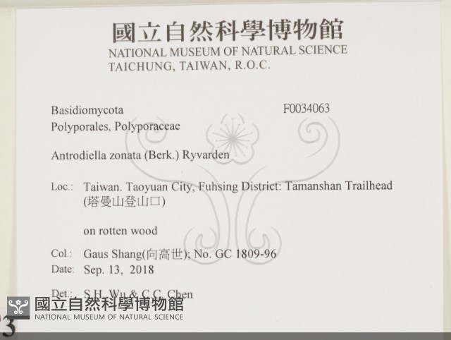 登錄號:F0034063藏品圖，第2張