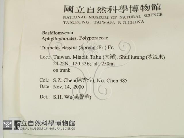 登錄號:F0012063藏品圖，第2張