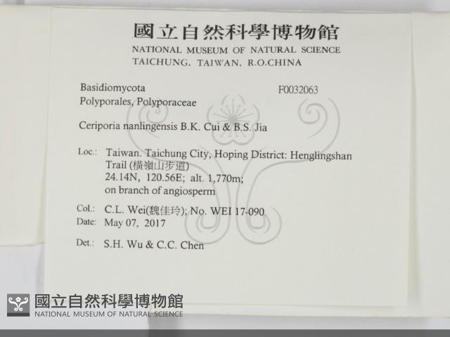 登錄號:F0032063藏品圖，第2張