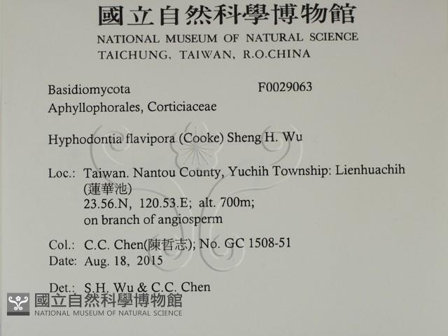 登錄號:F0029063藏品圖，第2張