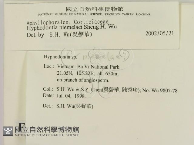 登錄號:F0009063藏品圖，第2張