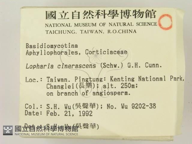 登錄號:F0003063藏品圖，第2張