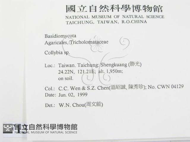 登錄號:F0013063藏品圖，第2張