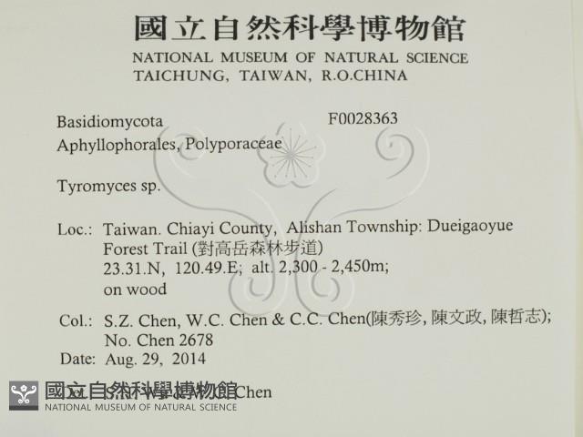 乾酪菌屬藏品圖，第2張