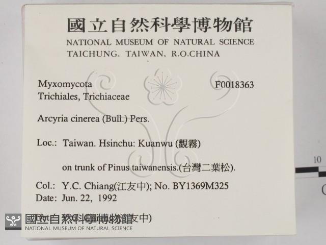 登錄號:F0018363藏品圖，第2張