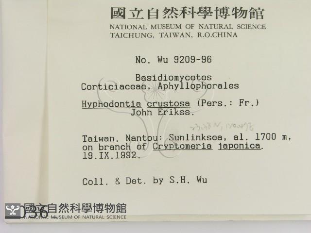 登錄號:F0000363藏品圖，第2張