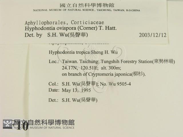 登錄號:F0010363藏品圖，第2張