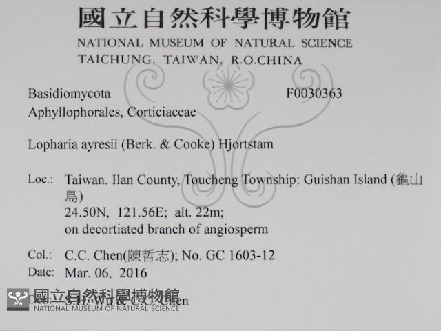 登錄號:F0030363藏品圖，第2張