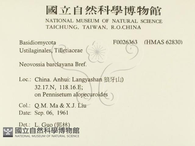 登錄號:F0026363藏品圖，第2張