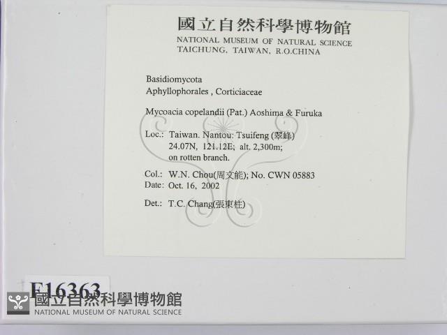 登錄號:F0016363藏品圖，第2張