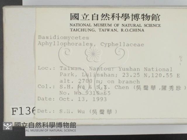 登錄號:F0001363藏品圖，第2張