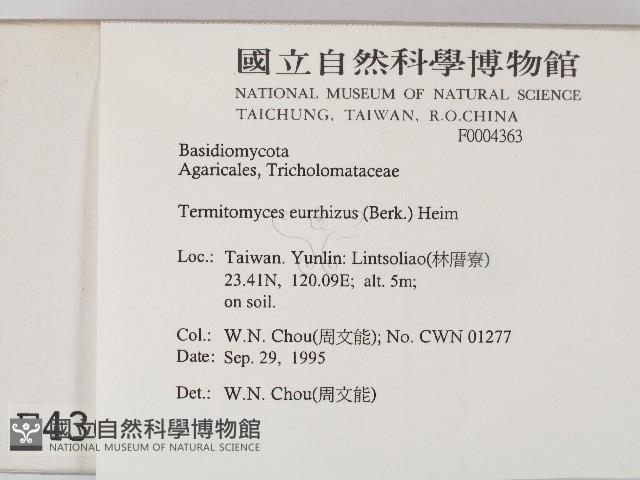 登錄號:F0004363藏品圖，第2張