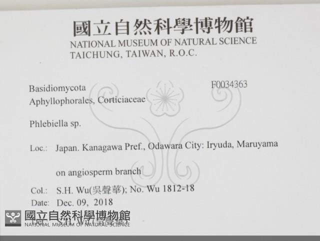 登錄號:F0034363藏品圖，第2張