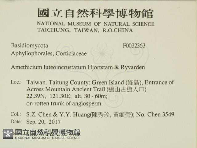 登錄號:F0032363藏品圖，第2張