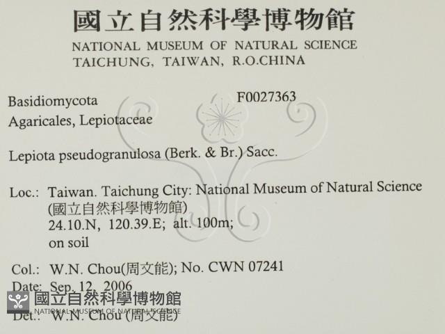 登錄號:F0027363藏品圖，第2張