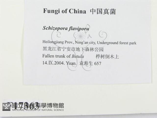 登錄號:F0017363藏品圖，第2張