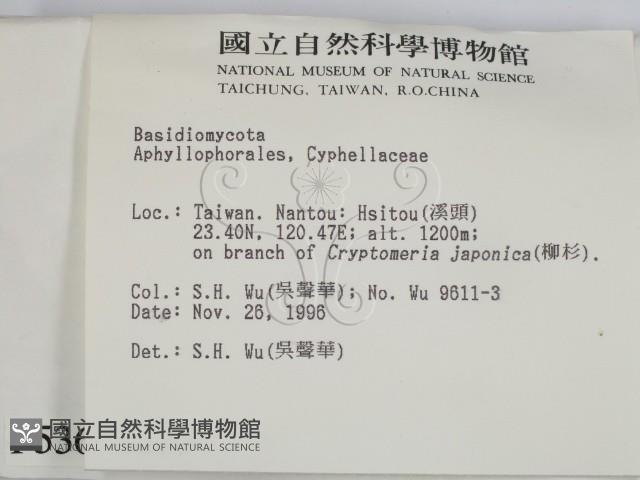 登錄號:F0005363藏品圖，第2張