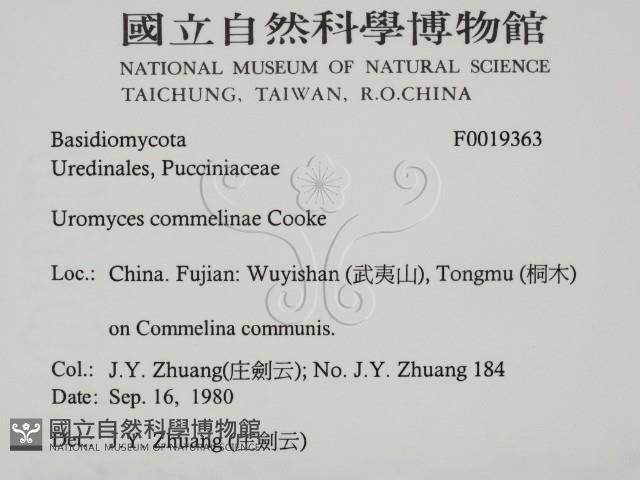 館號:F0019363藏品圖，第2張