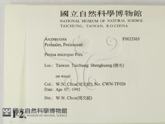 登錄號:F0023363藏品圖，第2張