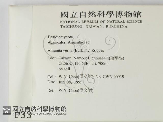 登錄號:F0003363藏品圖，第2張