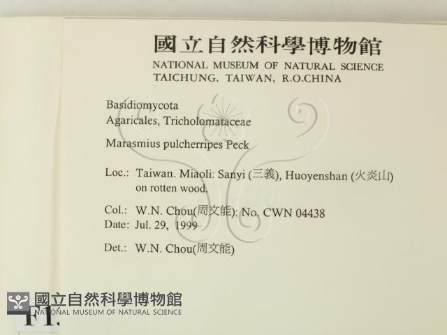 登錄號:F0013363藏品圖，第2張