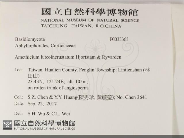 登錄號:F0033363藏品圖，第2張