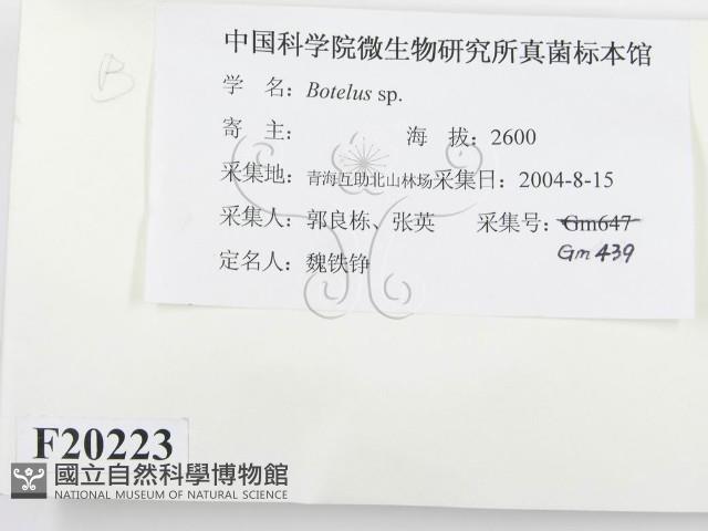 登錄號:F0020223藏品圖，第2張