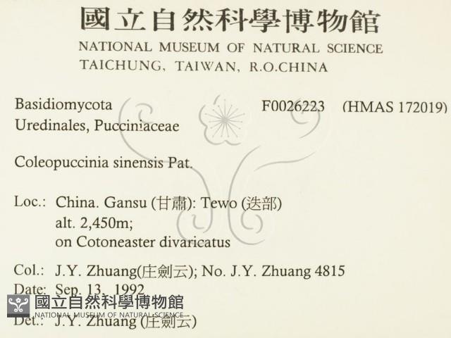 登錄號:F0026223藏品圖，第2張
