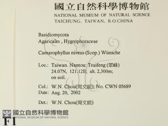 登錄號:F0016223藏品圖，第2張