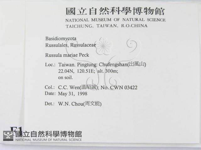 登錄號:F0011223藏品圖，第2張