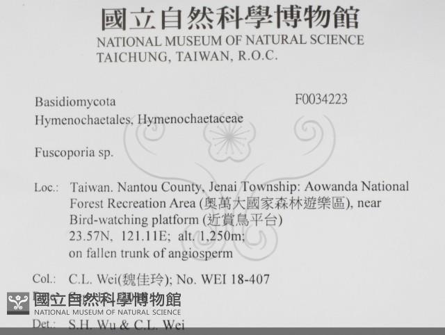 登錄號:F0034223藏品圖，第2張