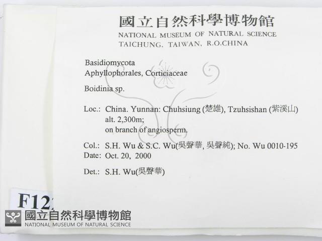 登錄號:F0012223藏品圖，第2張