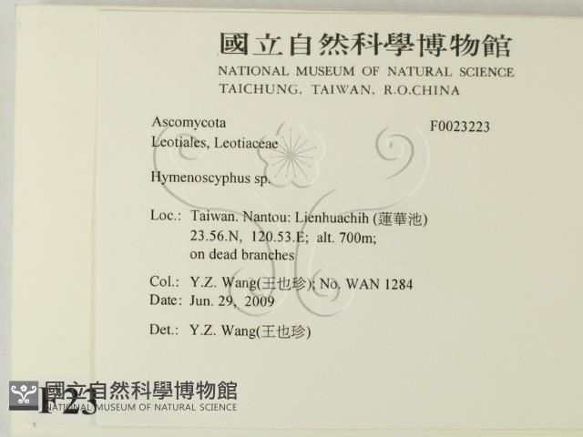 登錄號:F0023223藏品圖，第2張