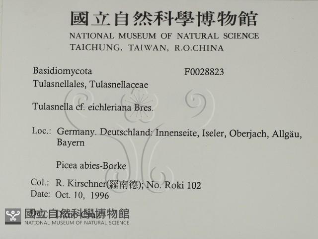 登錄號:F0028823藏品圖，第2張