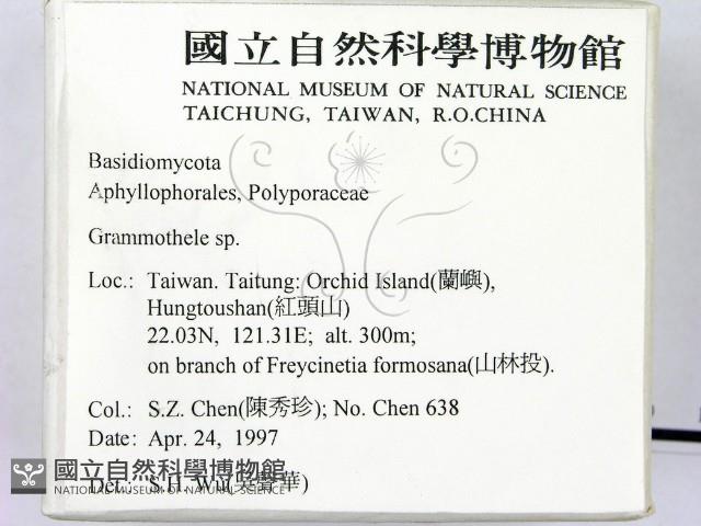 登錄號:F0008823藏品圖，第2張