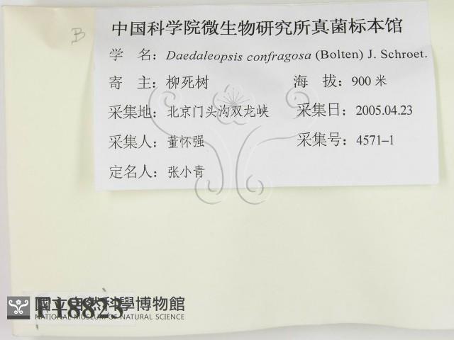 登錄號:F0018823藏品圖，第2張
