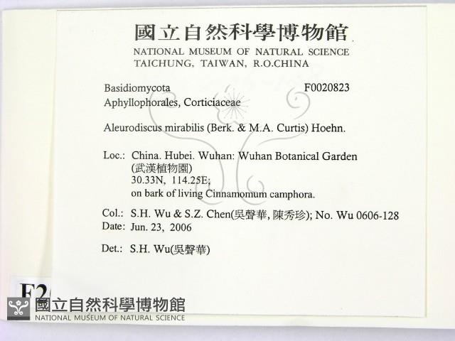 登錄號:F0020823藏品圖，第2張