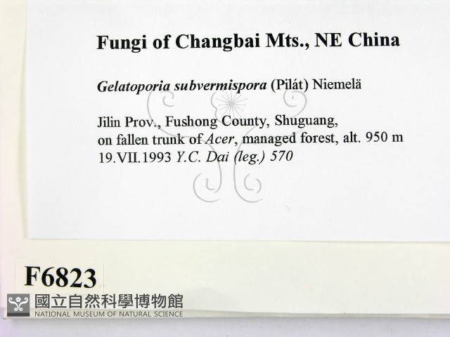 登錄號:F0006823藏品圖，第2張