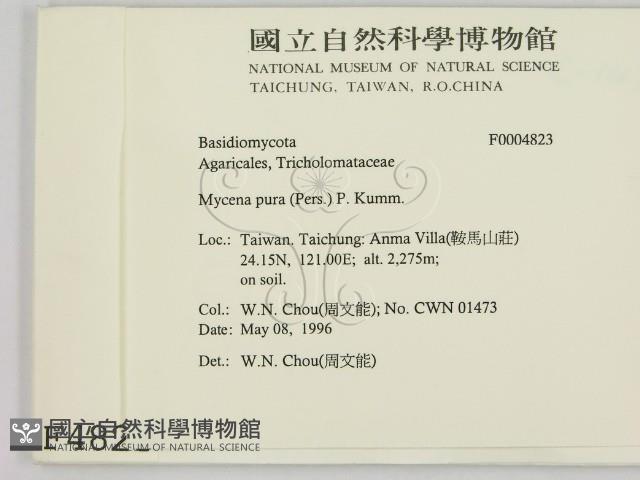 Accession Number:F0004823 Collection Image, Figure 2, Total 3 Figures