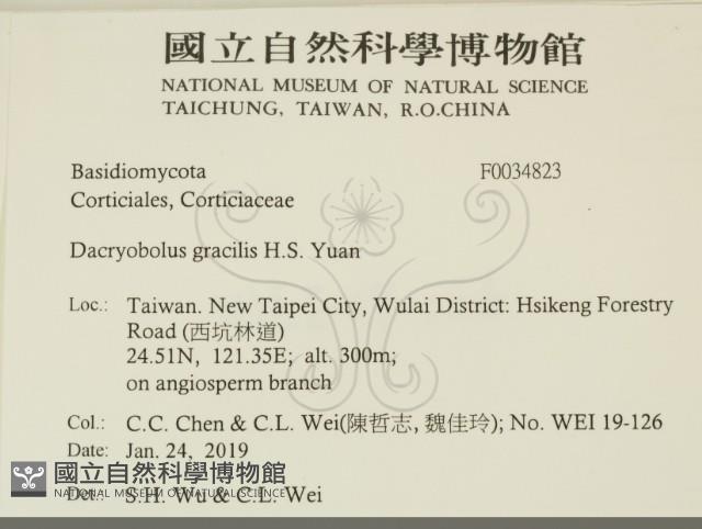 登錄號:F0034823藏品圖，第2張