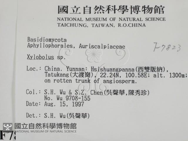 登錄號:F0007823藏品圖，第2張