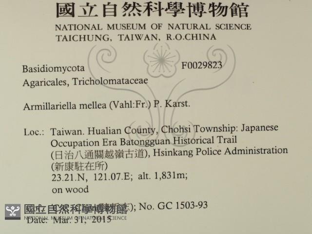 登錄號:F0029823藏品圖，第2張