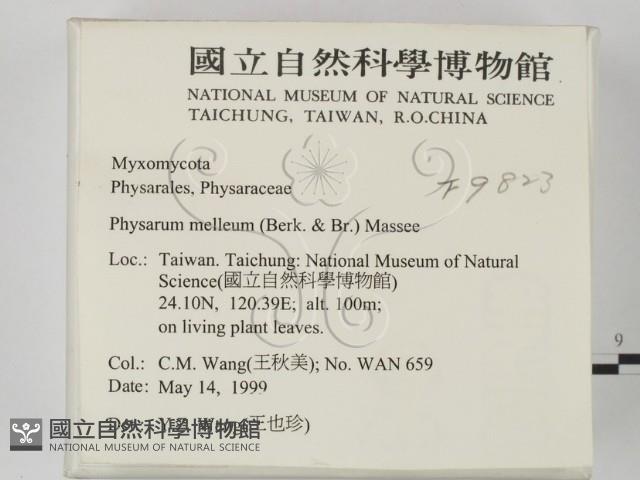 登錄號:F0009823藏品圖，第2張