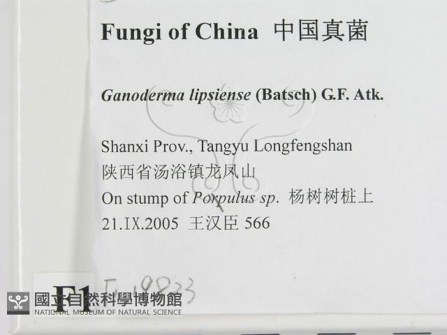登錄號:F0019823藏品圖，第2張